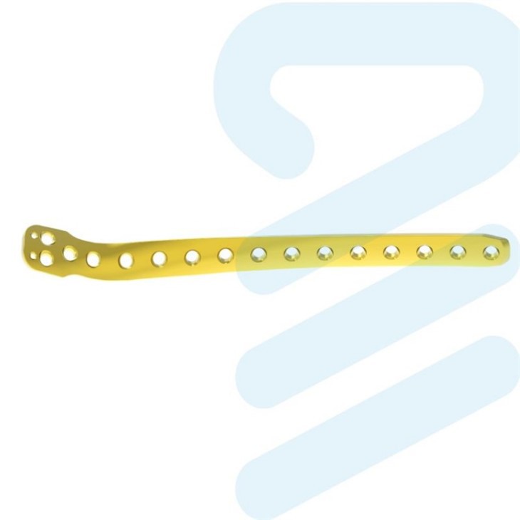 titanium locking plate