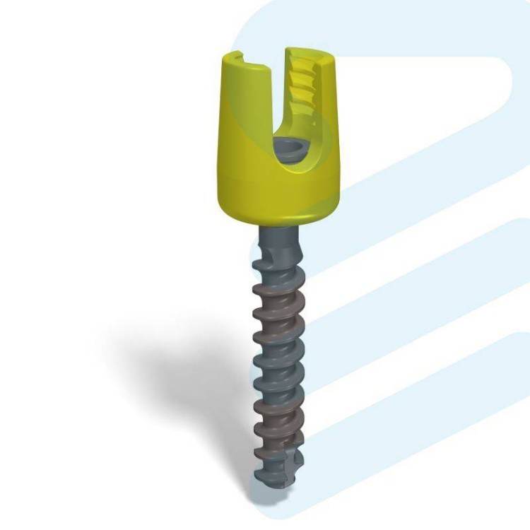 spinal implant manufacturers