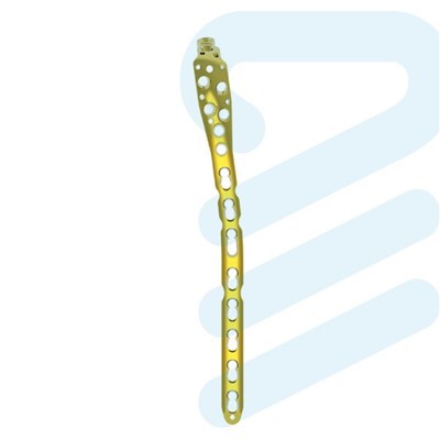 एलसीपी ओलेक्रॉन प्लेट